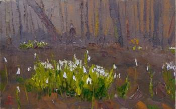 ������� ������������