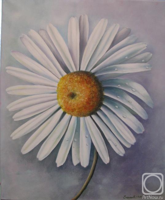 �������. ����� ������. ������� ��� ��������