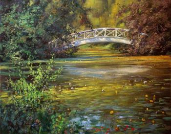 Pond with water lilies. Buiko Oleg