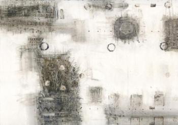 Morning of a flowering cactus