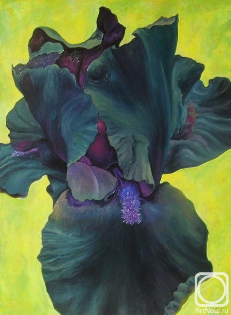 �������� ��������. ������ ����