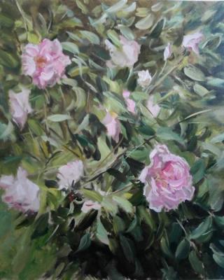 ������� ���������