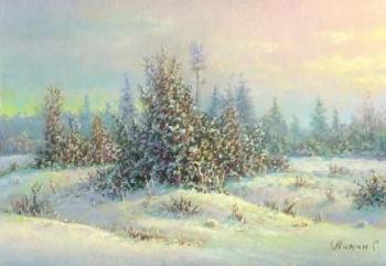 Breath of winter. Panin Sergey