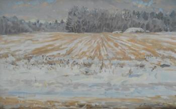 Winter field. Tumpurov Aleksandr