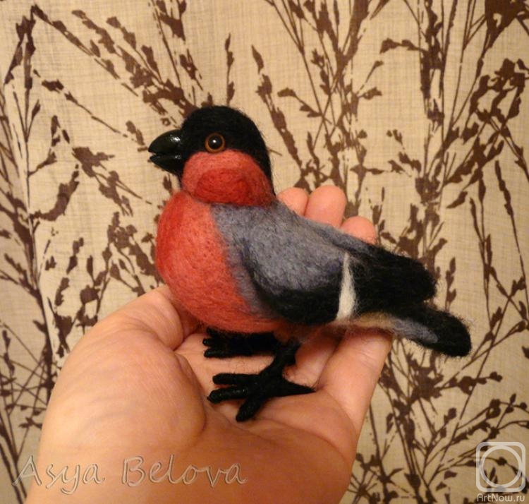 ������ ���. �������