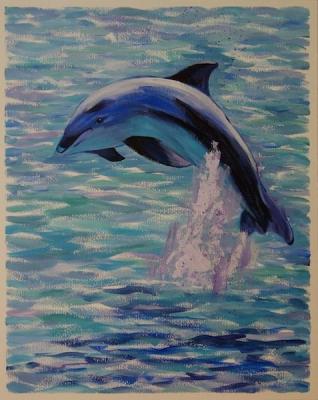 631 Dolphin