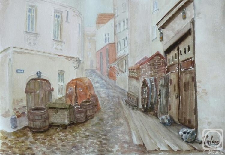 Lizlova Natalija. Contrasts of the Old Town