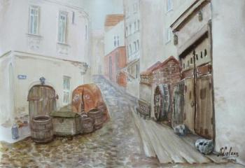 Contrasts of the Old Town. Lizlova Natalija