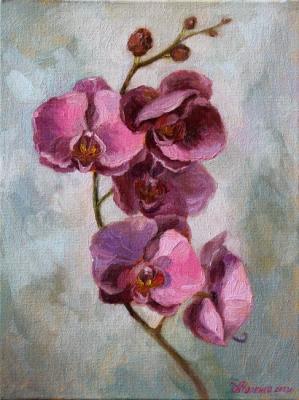Orchids. Norenko Anastasya