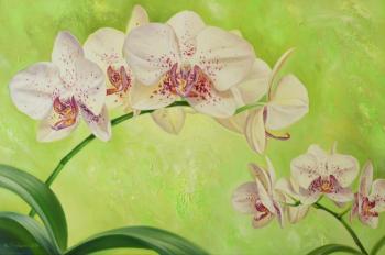  (Floral Composition With Orchids).  
