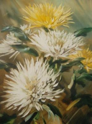 ������� ������������