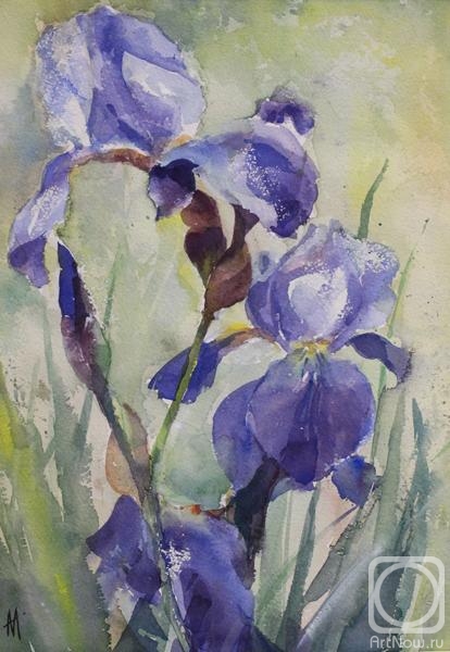 �������. ��������� ������. �����