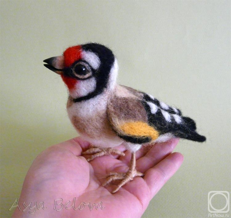 ������ ���. �����