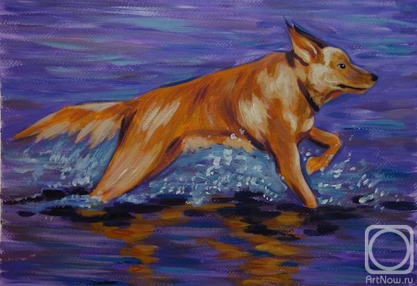 Lukaneva Larissa. 635 A dog running on water