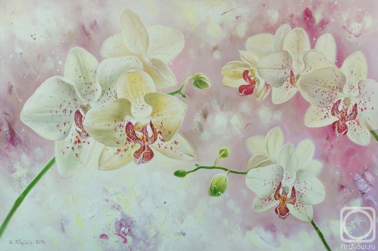 Zhaldak Edward. Orchids