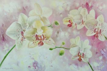 Orchids (Still-Life With Colours). Zhaldak Edward
