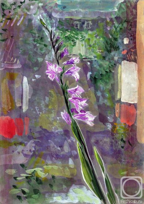 Sechko Xenia. Wild Gladiolus