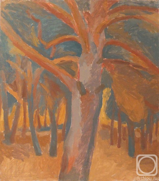 �������. ������� ���������. � ������� ����