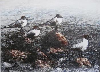 �����. ������� ����