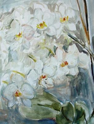 White orchid. Sechko Xenia