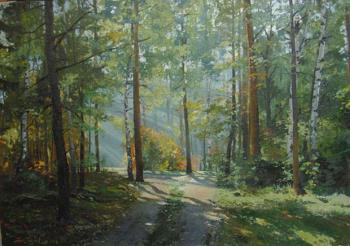 Moscow region. In the morning in the forest. Golybev Dmitry