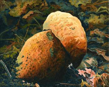 Old boletus surrounded by leaves
