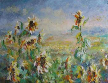 Sunflowers in the field (The Beauty Of Space). Kruglova Svetlana