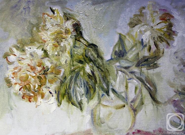 �������. ����� ������. �����