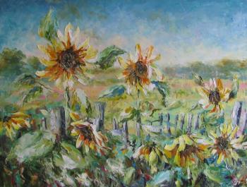 Sunflowers fence (). Kruglova Svetlana