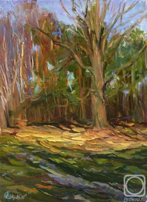 ������� ������ �� ������. ���������� �������. ������ �����