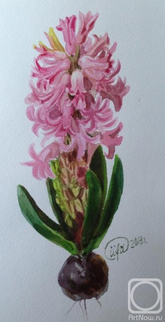 �������. ������� �����. ������� �������