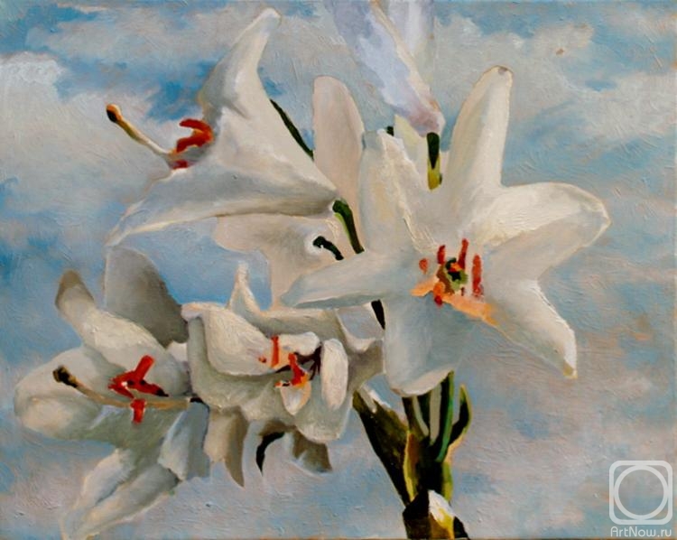 Tafel Zinovy. Daffodils