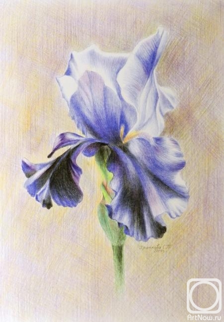 �������. �������� ��������. ����