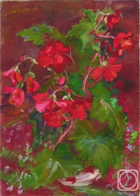 �������. ���������� ����. �������