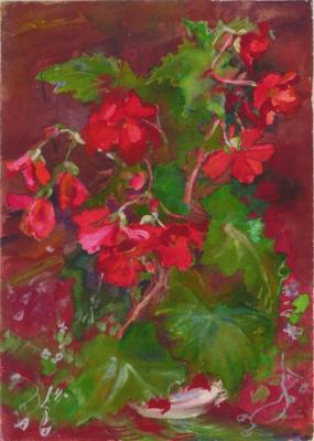 ������� ��������