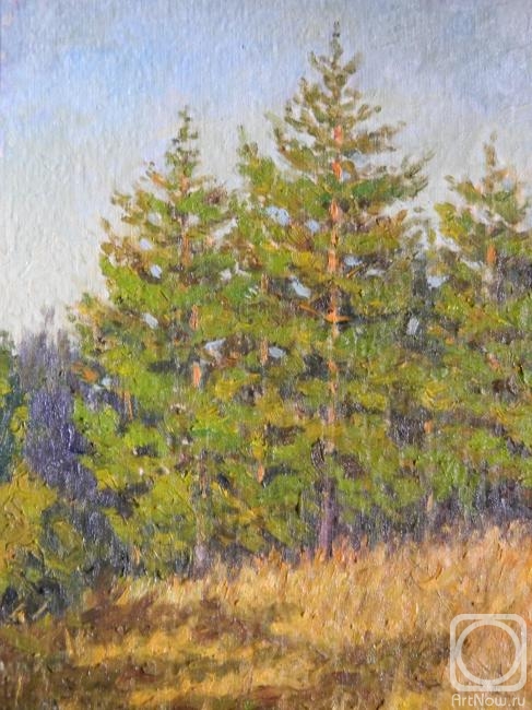 ������� ������ �� ������. ����� ������. ����� �����������