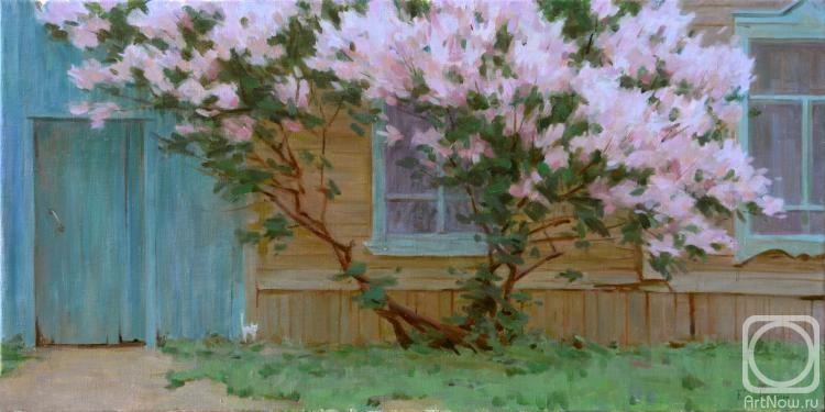 ������� ������ �� ������. ����� �������. ���� � ���