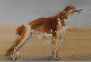 ������� ��������