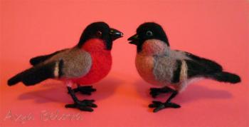 A couple of bullfinches