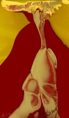 Volcano deadly passions. Kipetsky Nikolay