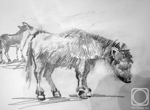 Gerasimov Vladimir. sketch Donkey