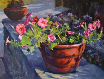 ����� �������. �������� ������. �������� �����