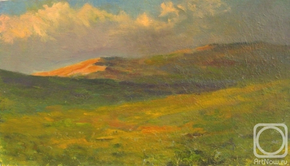 Bravkov Vladimir. Untitled