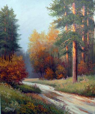 Road. Yanulevich Henadzi