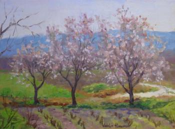 Three blossoming trees. Pohomov Vasilii