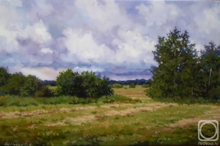 Kurnosov Andrey. Mowed meadow