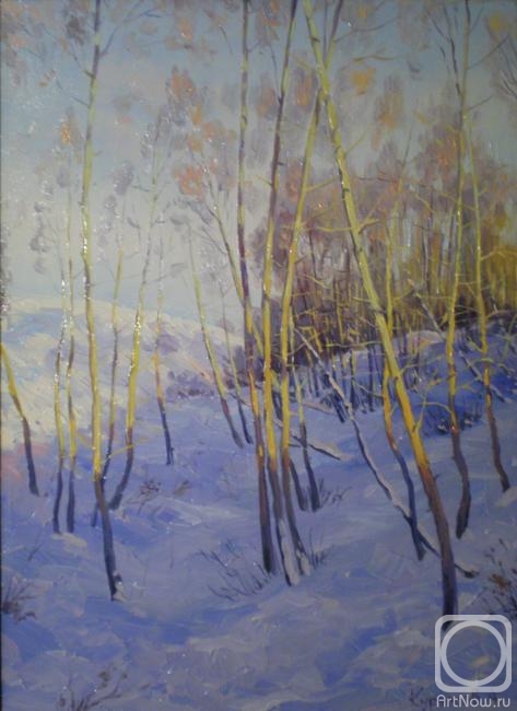 Kurnosov Andrey. Winter evening