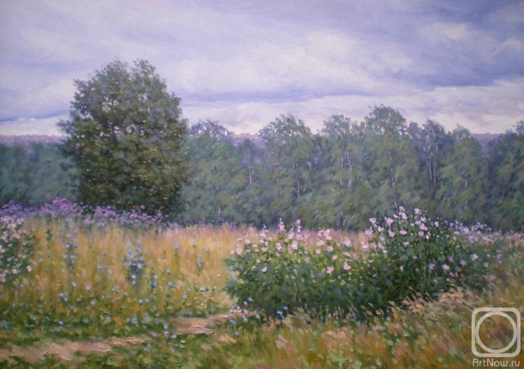 Kurnosov Andrey. Forest mallow