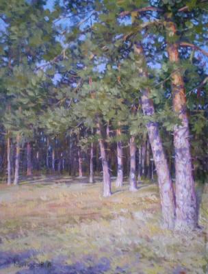 At the edge of the forest