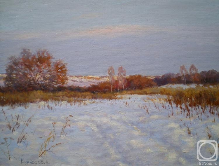 Kurnosov Andrey. Winter day